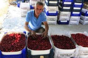 Civril039de-Kizilcik-hasadi-basladi-featured
