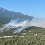 Uludag-eteklerinde-uc-ayri-noktada-yangin-featured