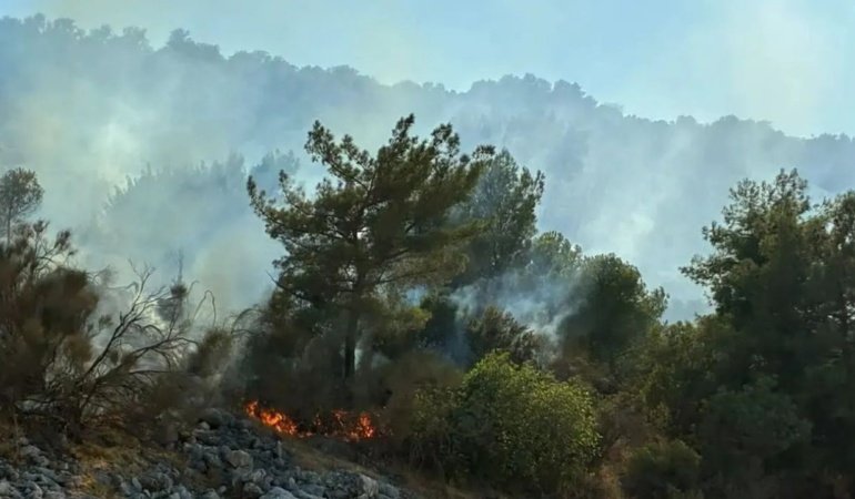 Antalya’da orman yangını: Havadan ve karadan müdahale başlatıldı