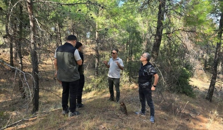 Çal’da Yeşil Vatan için sahada denetim