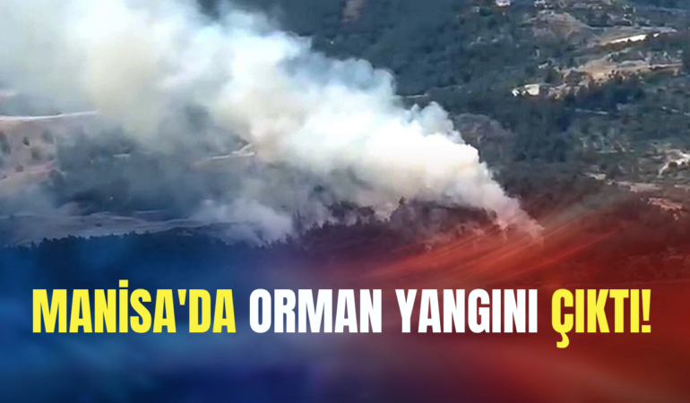 Manisa'da orman yangını çıktı!