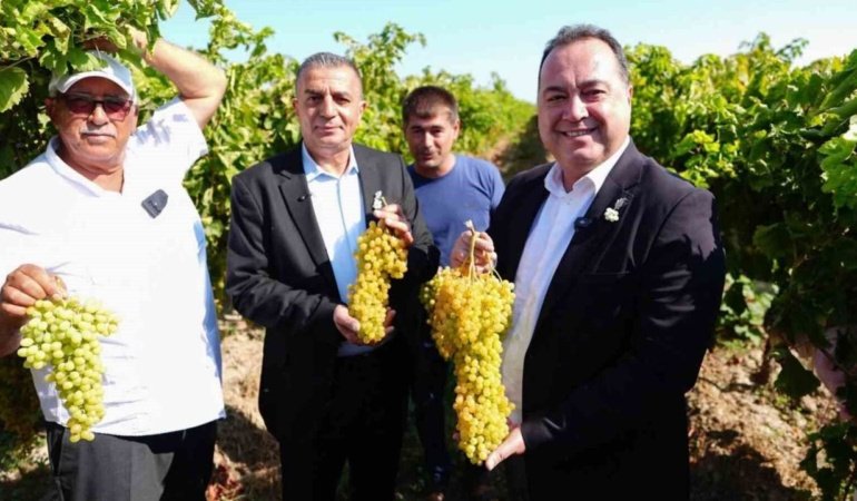 Manisa’da bağbozumu heyecanı başladı