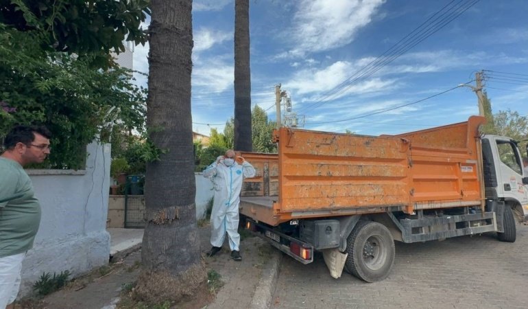 Marmaris'te çöp ev şoku: Bir kamyon çöp ve 30'a yakın kedi çıktı