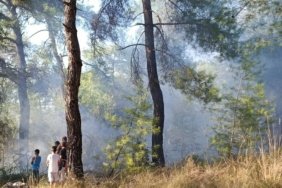 Mugla-Koycegizde-orman-yangini-featured
