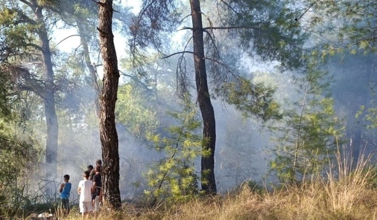 Muğla Köyceğiz’de orman yangını