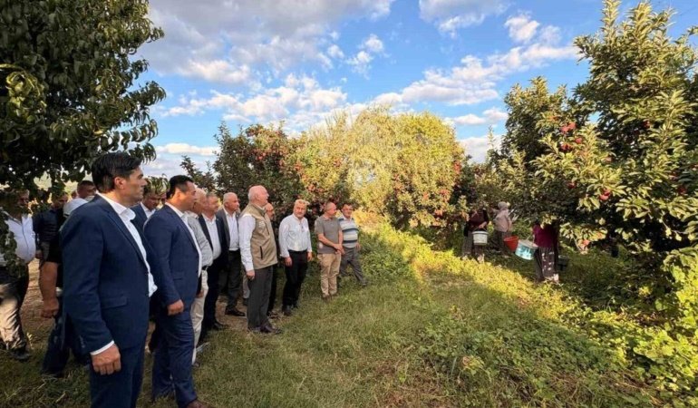Şemsi Bayraktar, Çivril’de elma hasadı yaptı