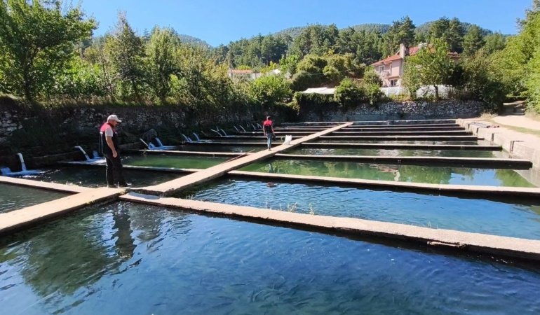 Çameli’de alabalık tesislerine sıkı denetim